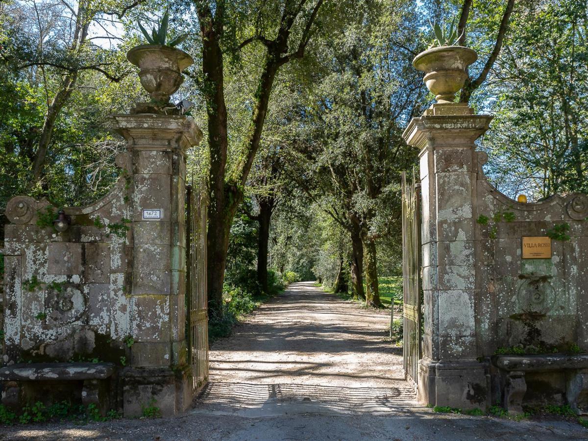 New! La Stanza In Villa Lucca Eksteriør bilde